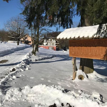 Grundmuehle Rhoen Nordheim vor der Rhön Exteriör bild